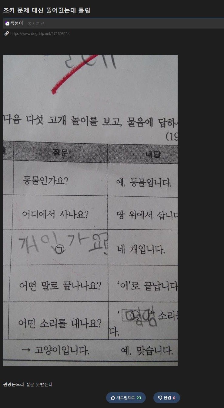 게시물 이미지
