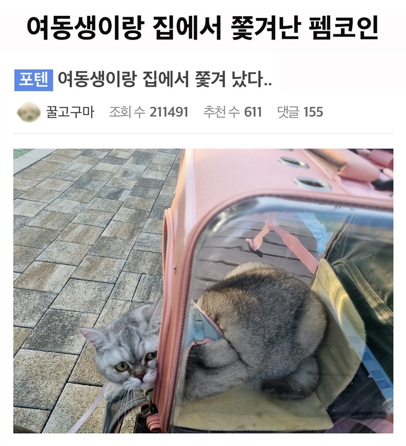 게시물 이미지