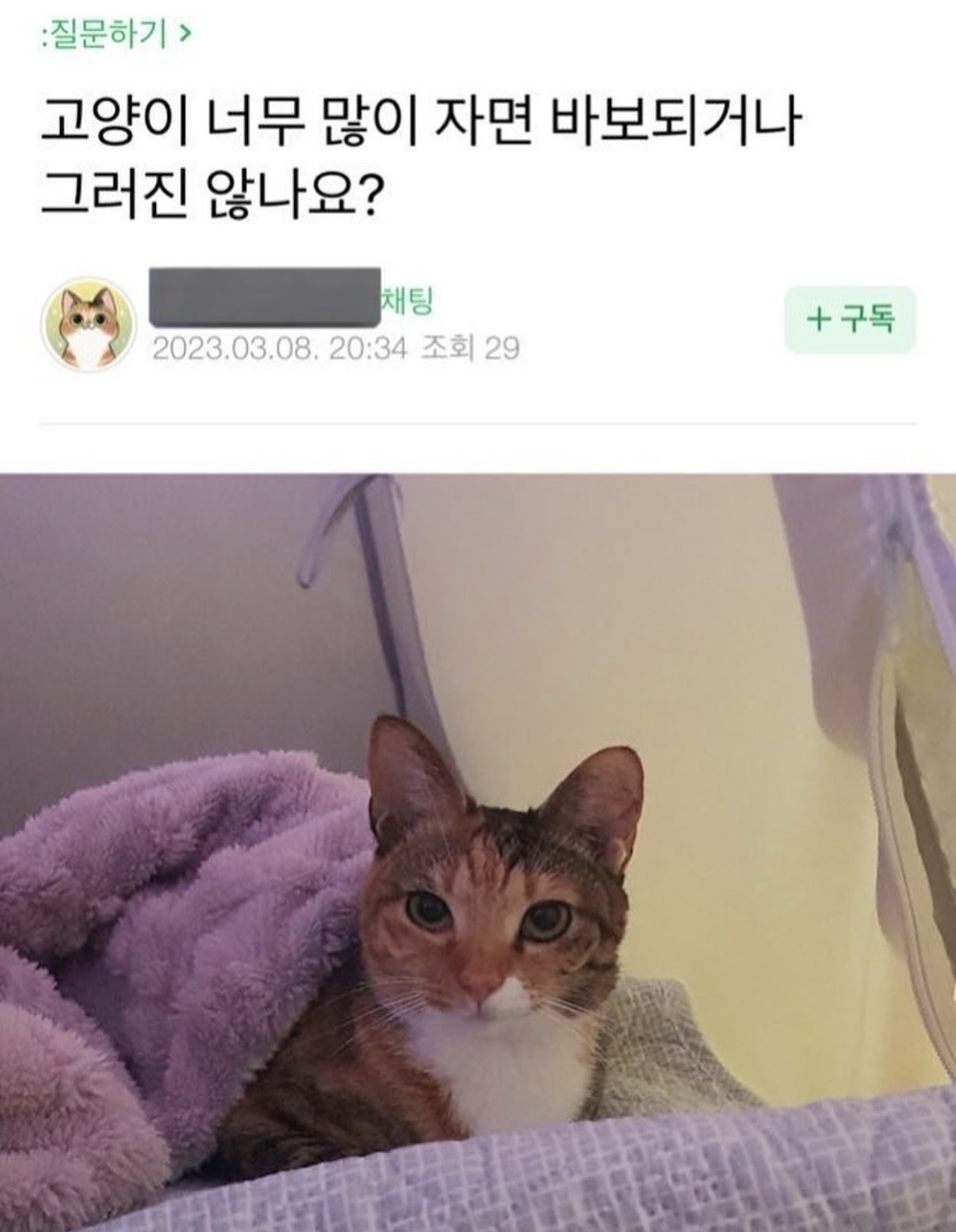 게시물 이미지
