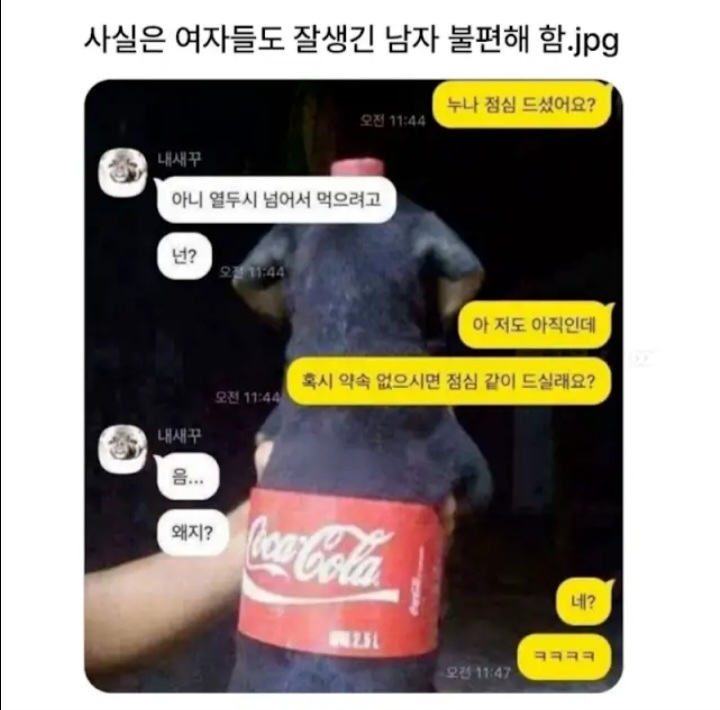 게시물 이미지