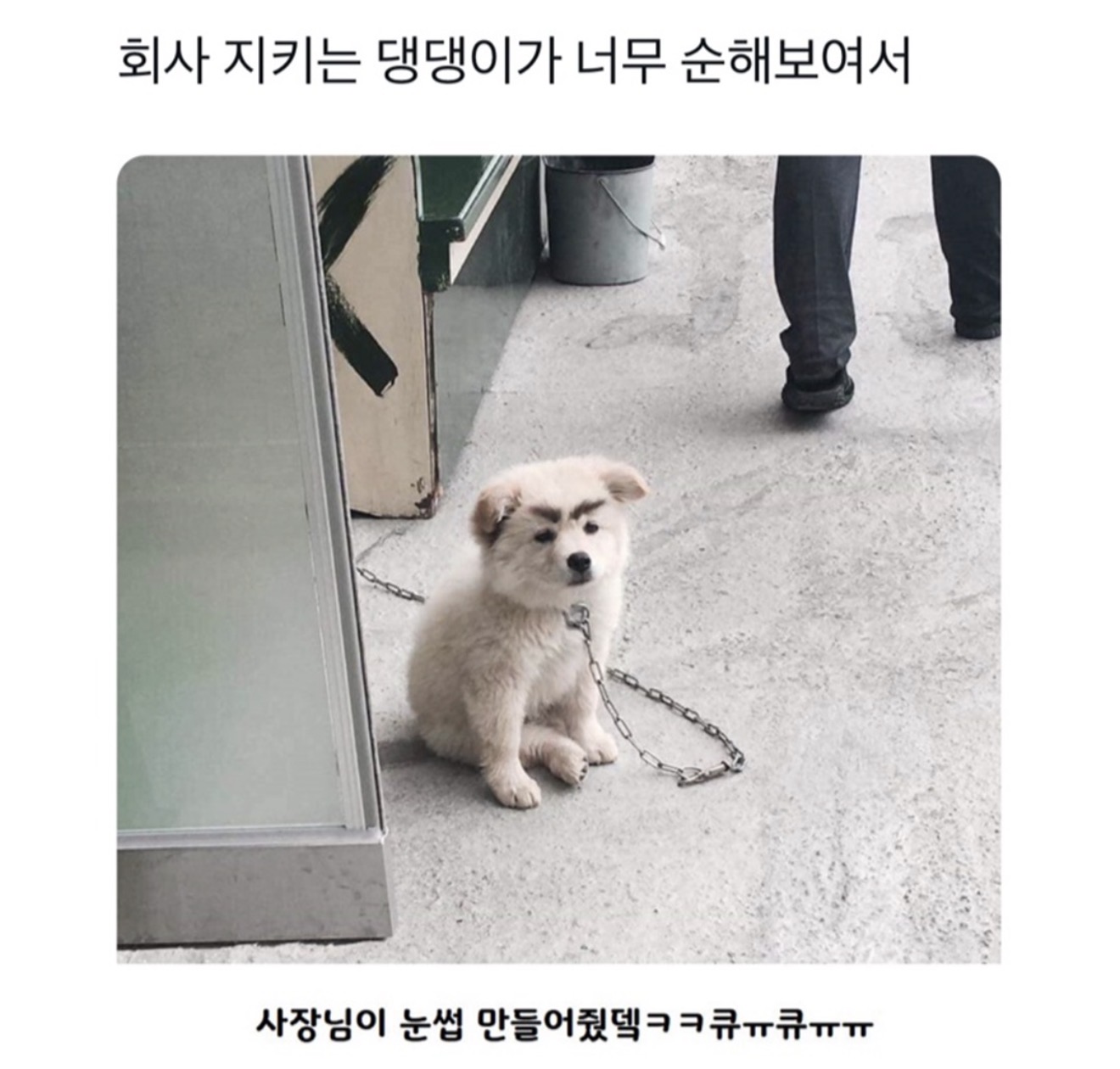 게시물 이미지