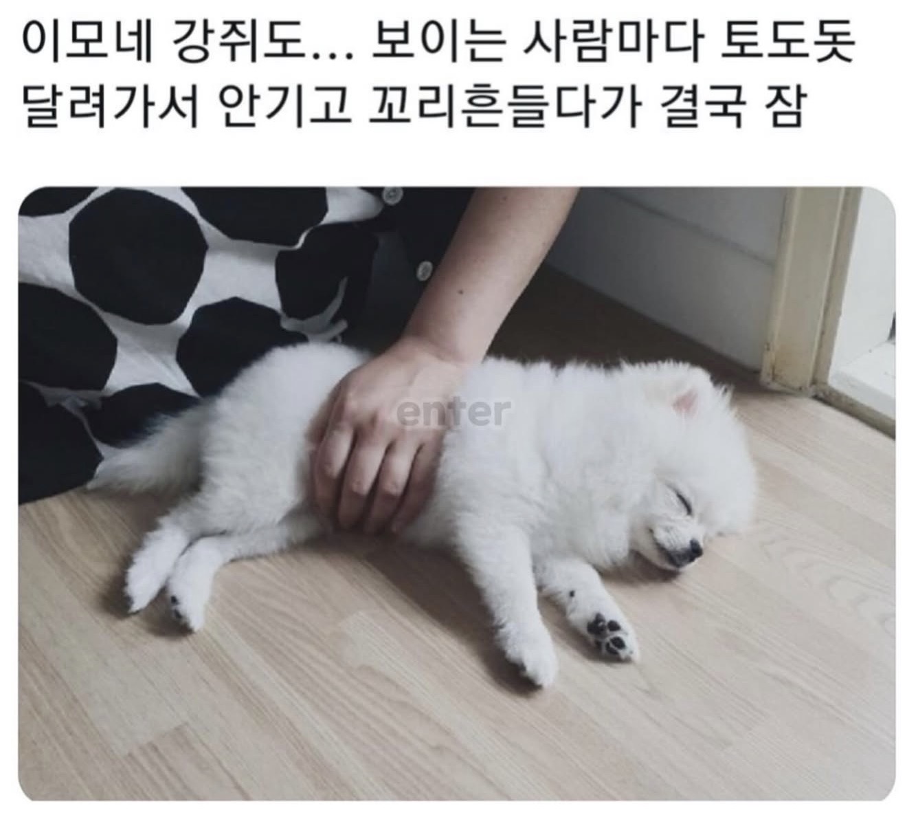 게시물 이미지
