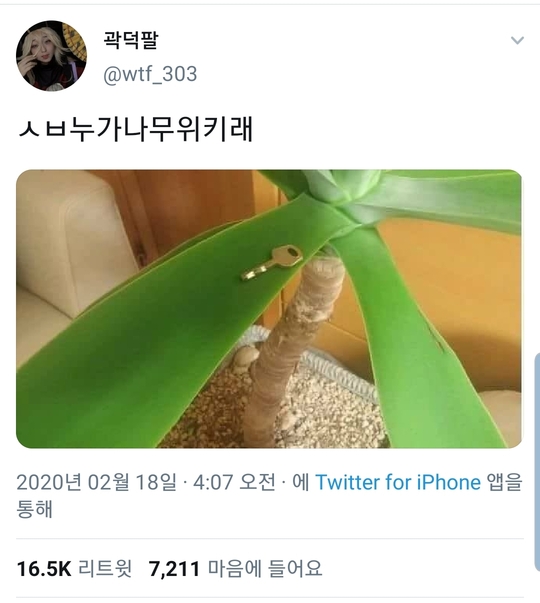 게시물 이미지