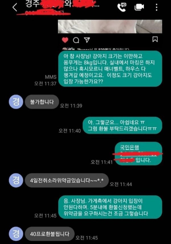 게시물 이미지