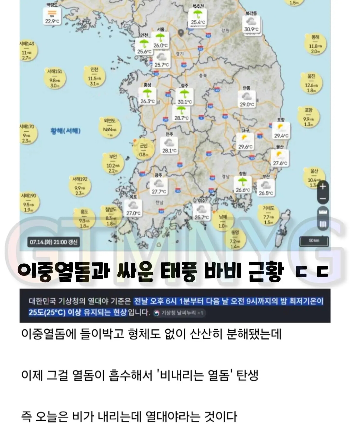 게시물 이미지