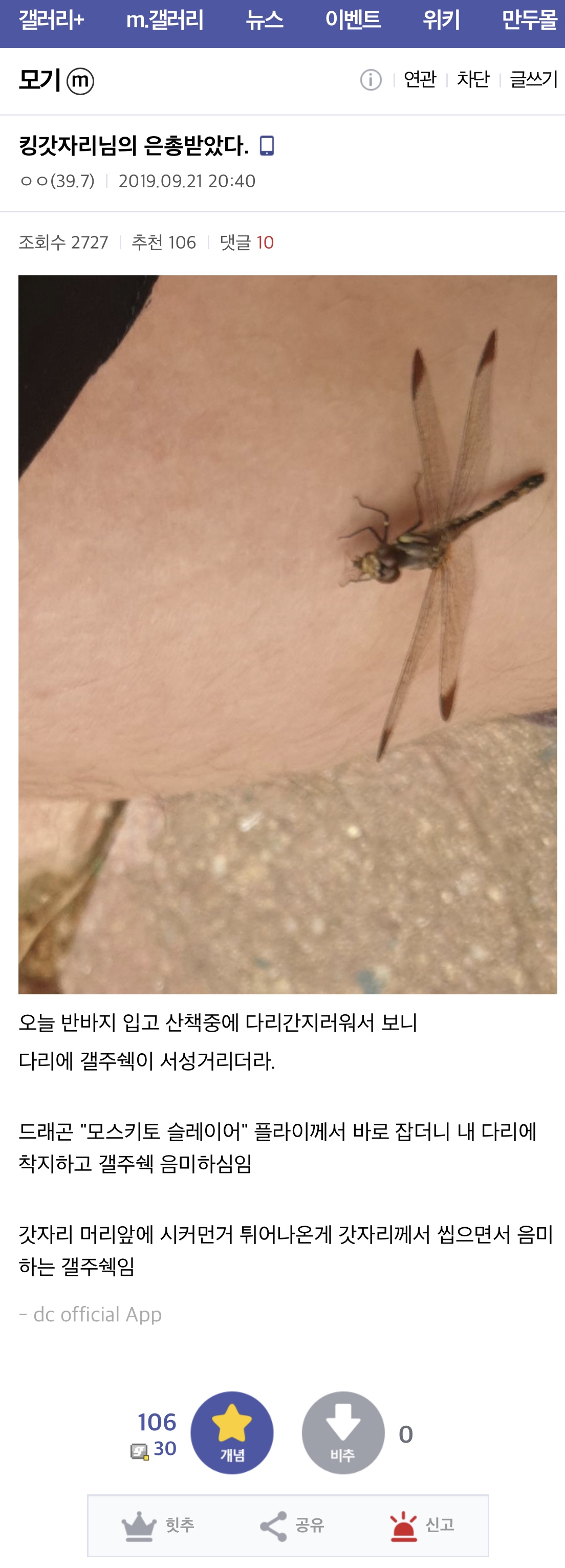 게시물 이미지