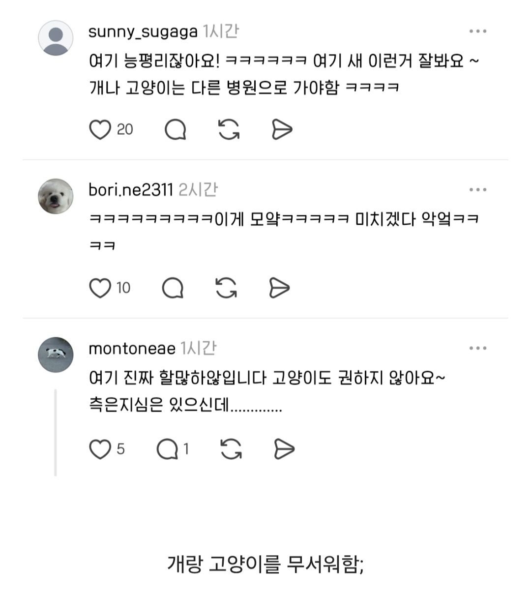 게시물 이미지
