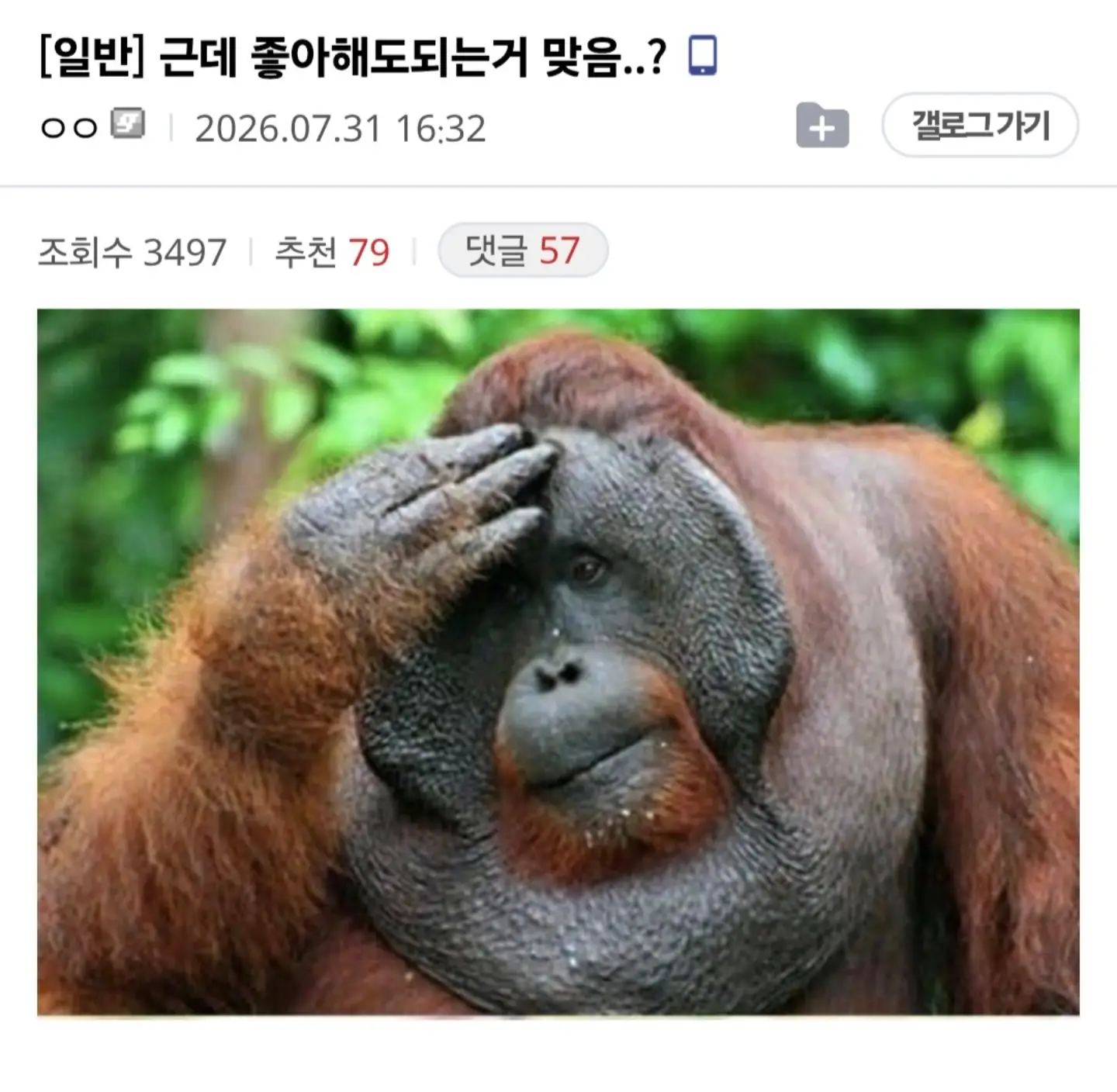 게시물 이미지