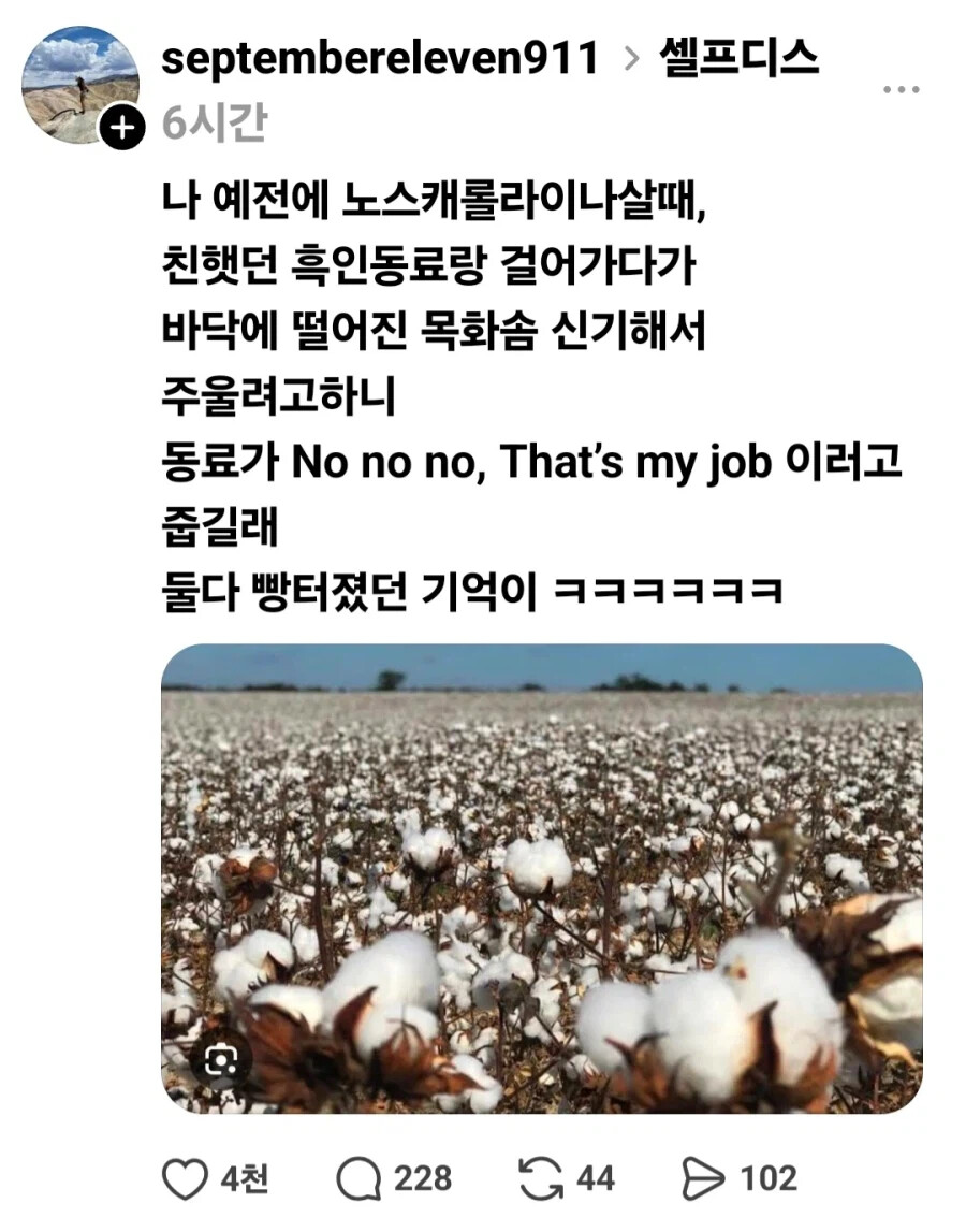 게시물 이미지