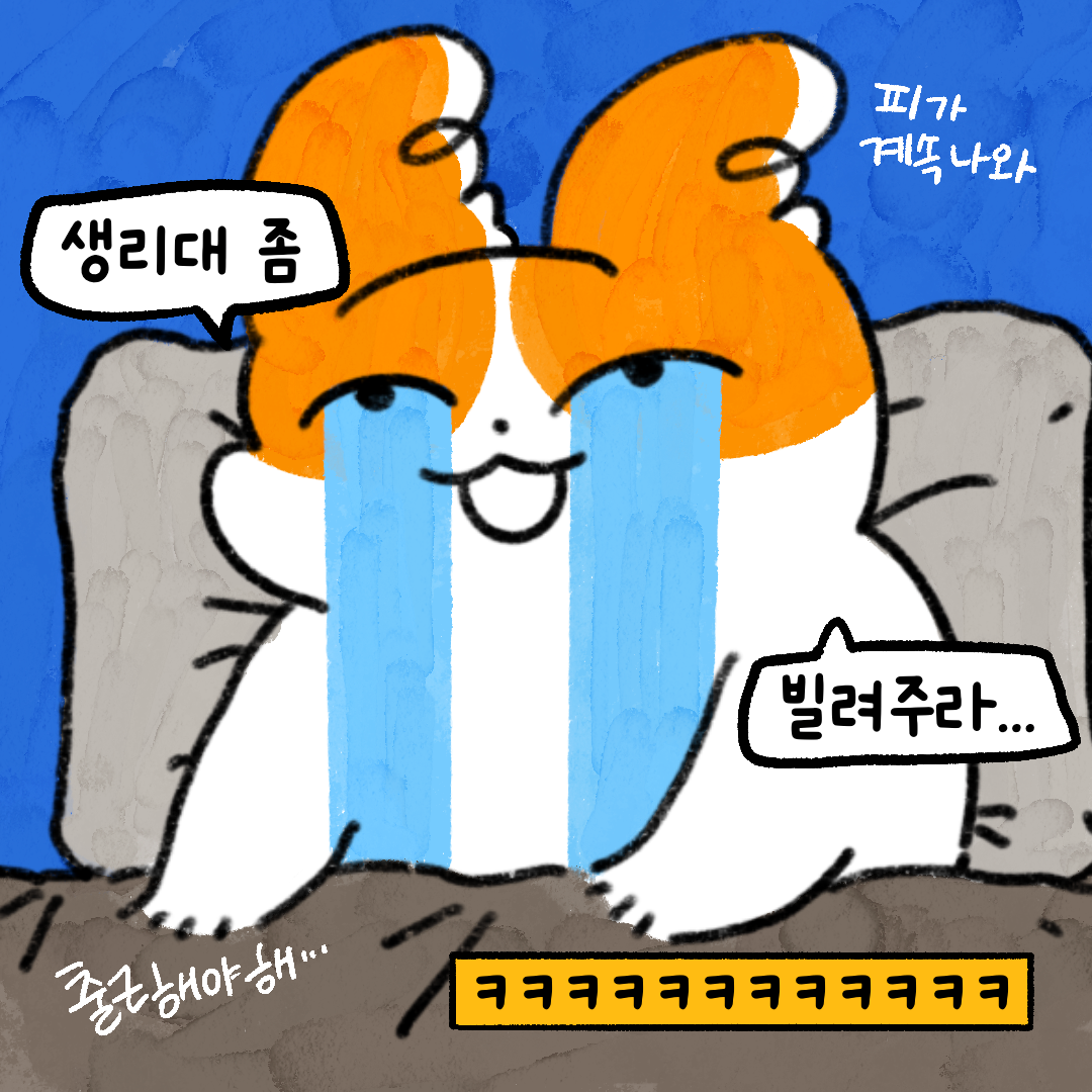 게시물 이미지