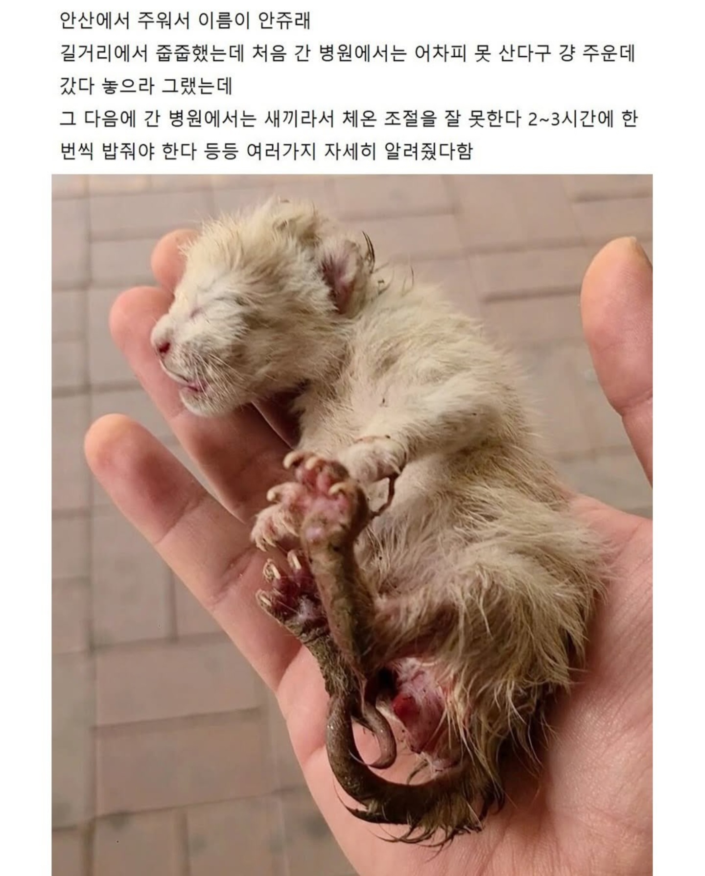 게시물 이미지