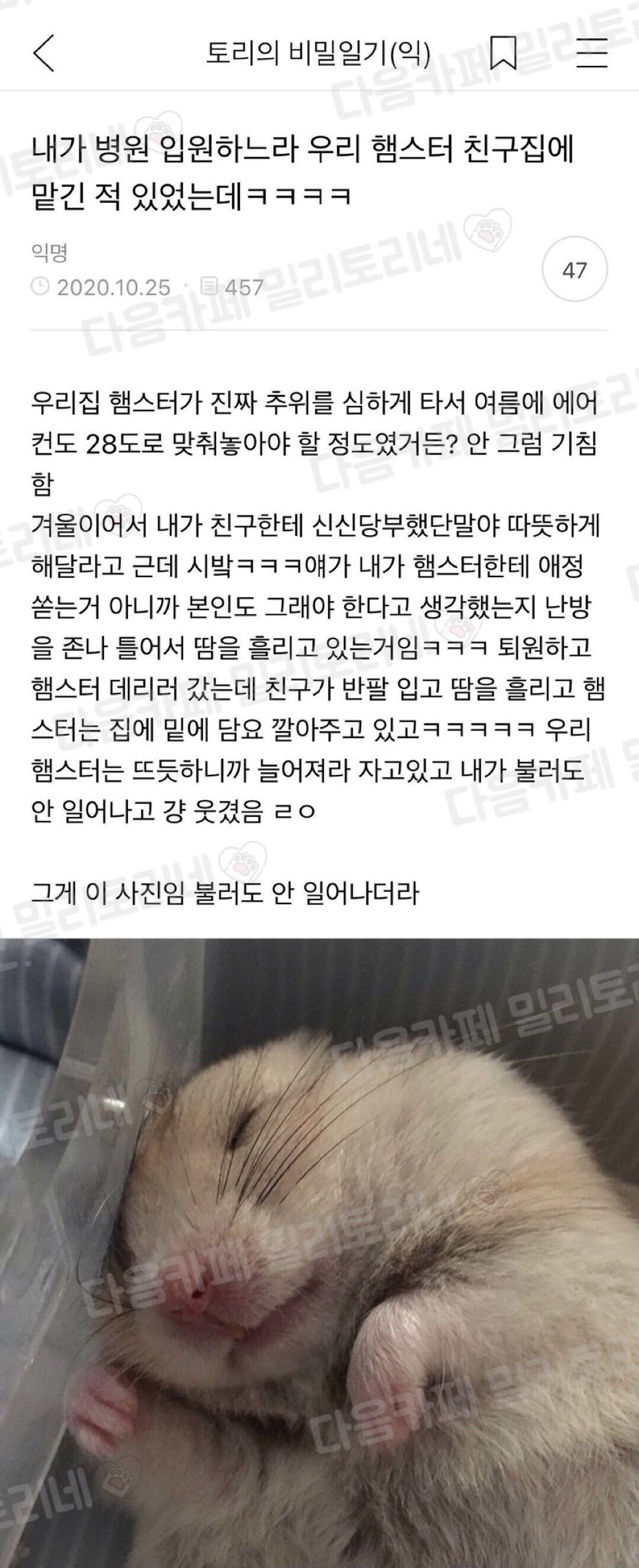 게시물 이미지