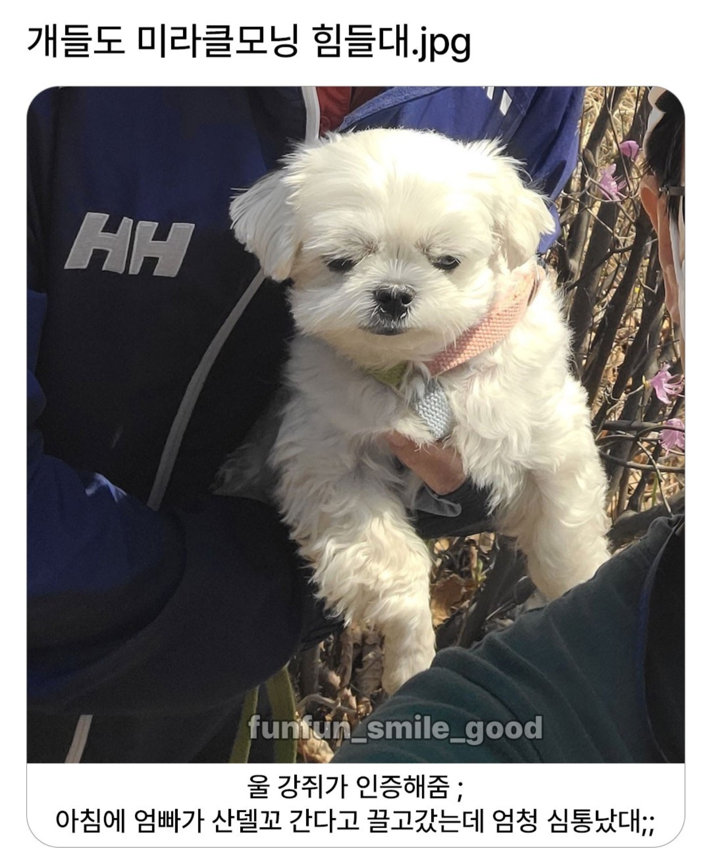 게시물 이미지