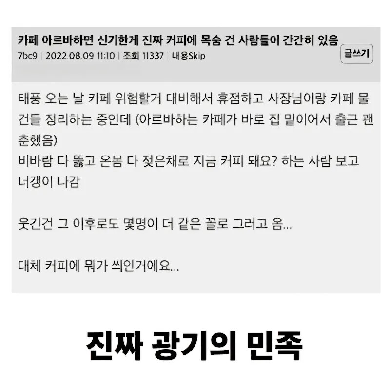 게시물 이미지