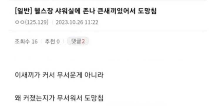 게시물 이미지