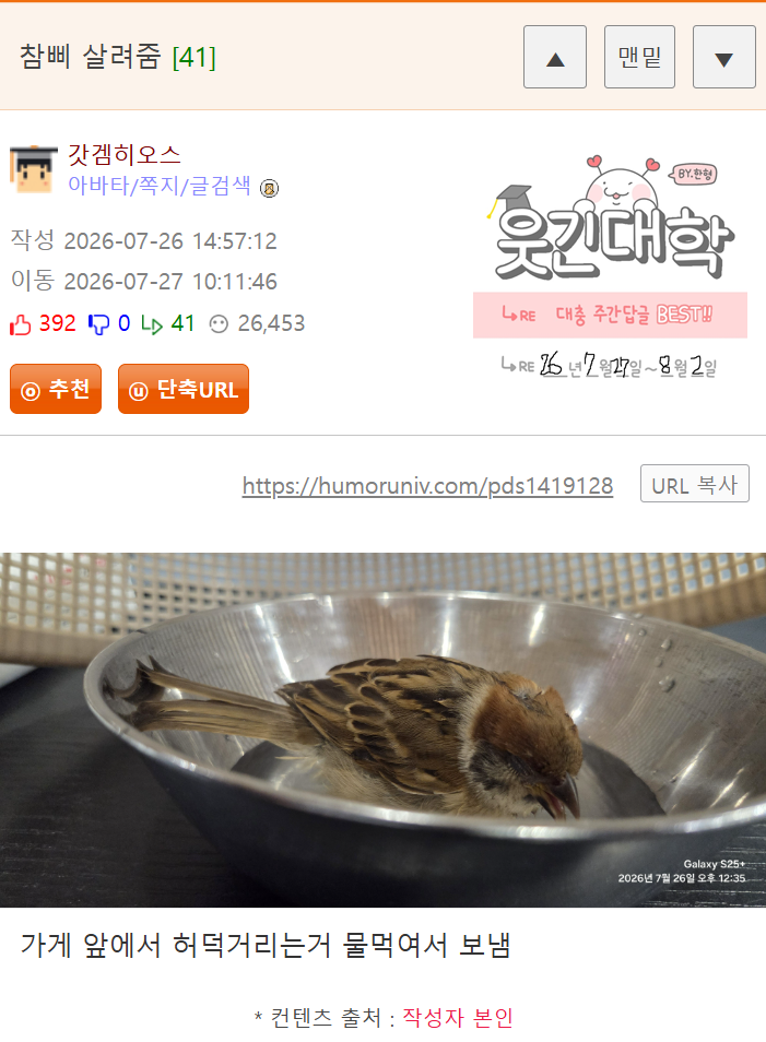 게시물 이미지