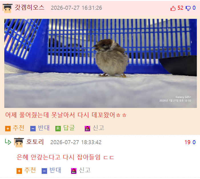 게시물 이미지
