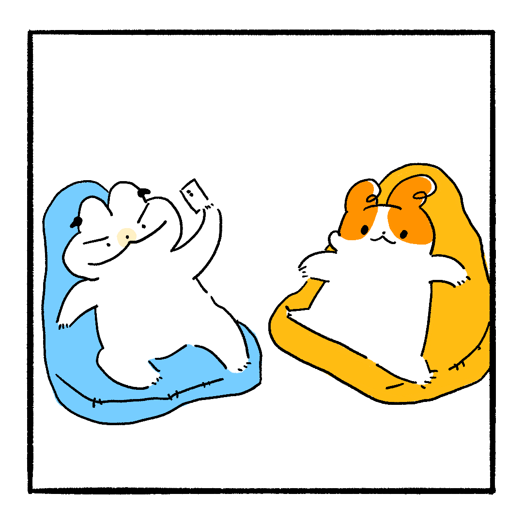 게시물 이미지