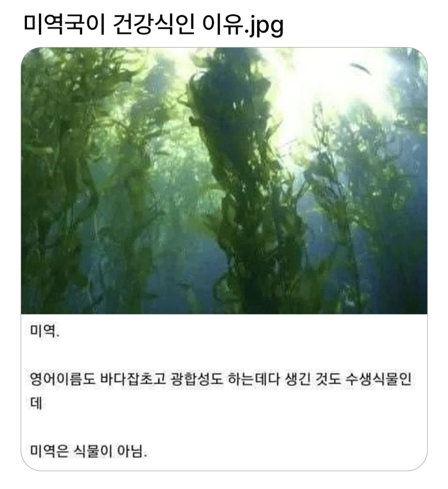 게시물 이미지