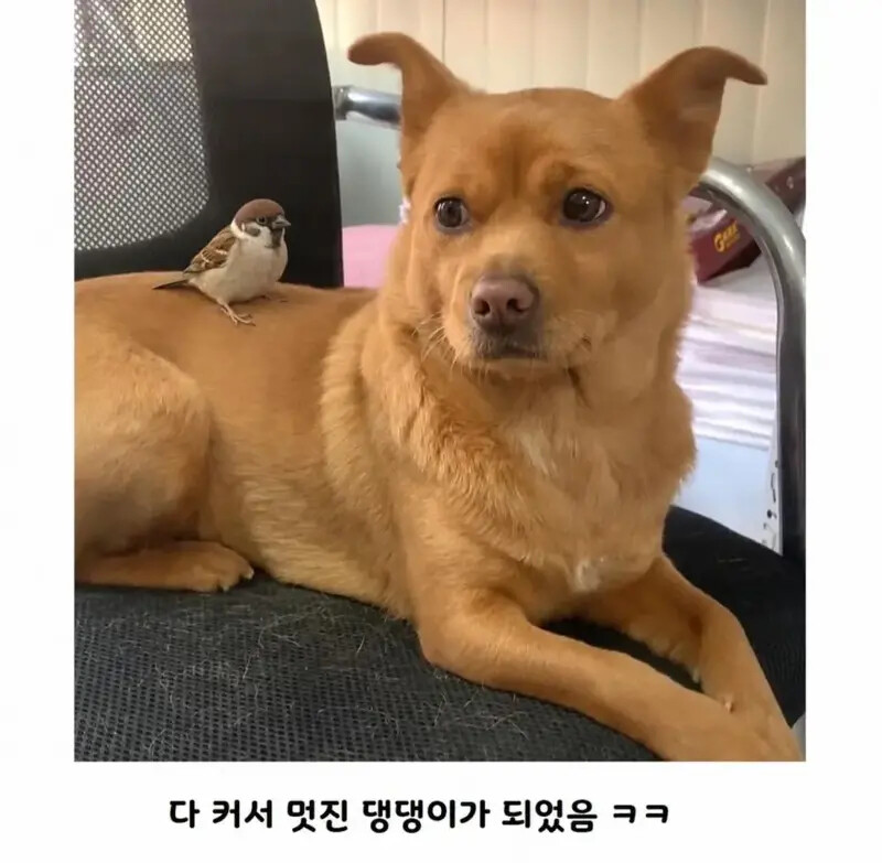 게시물 이미지