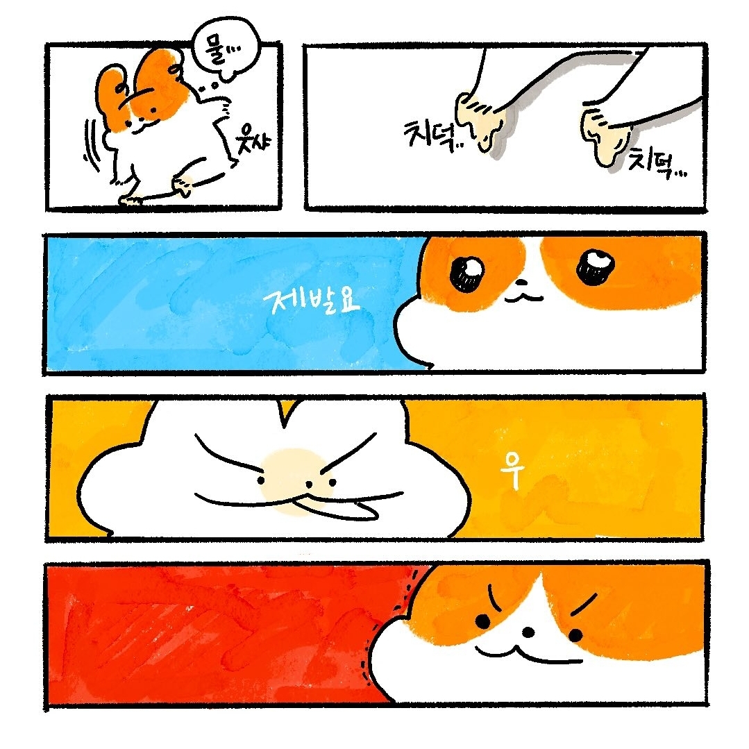 게시물 이미지