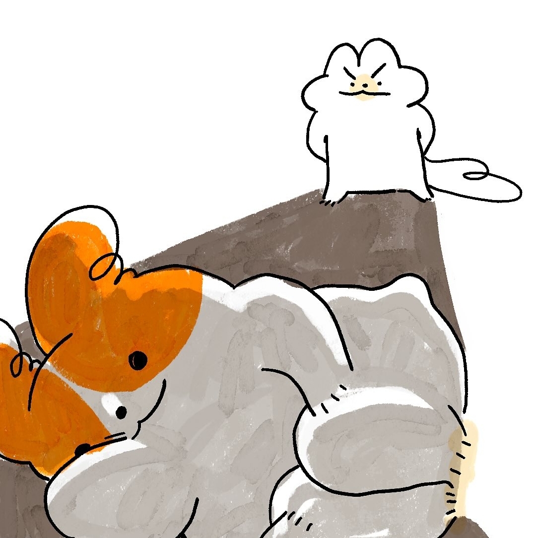 게시물 이미지