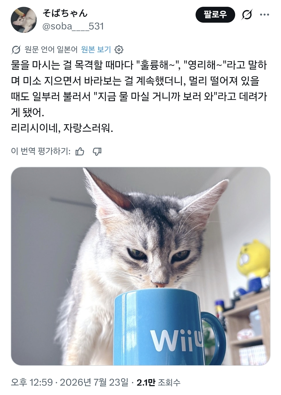 게시물 이미지