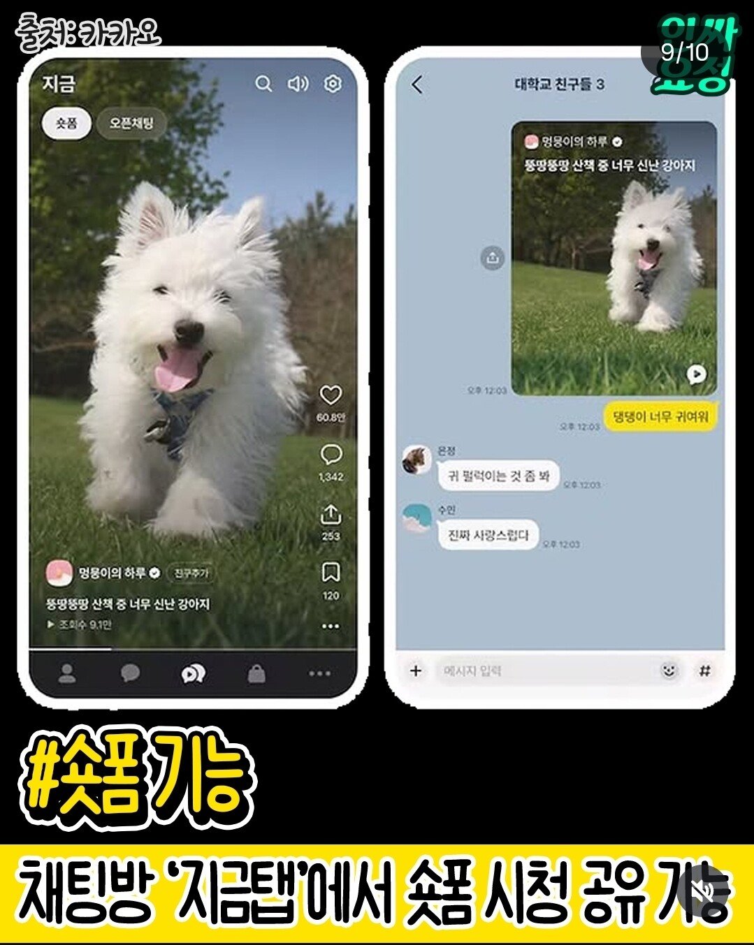 게시물 이미지