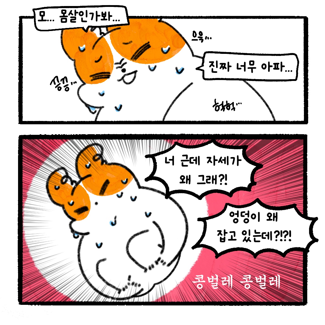 게시물 이미지
