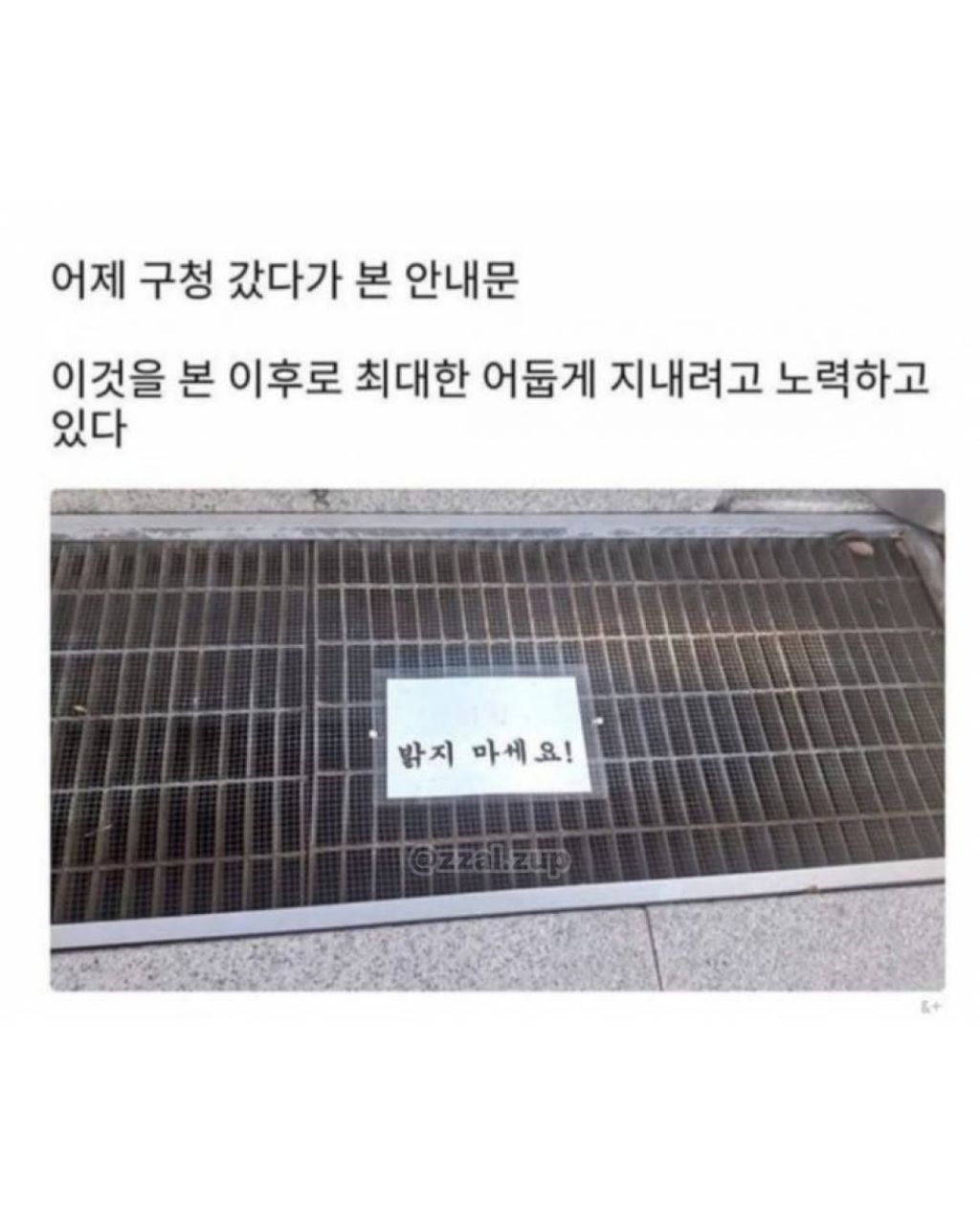 게시물 이미지