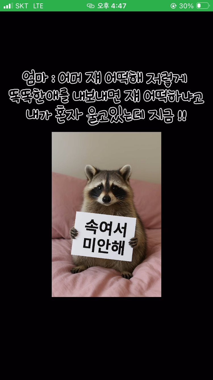 게시물 이미지