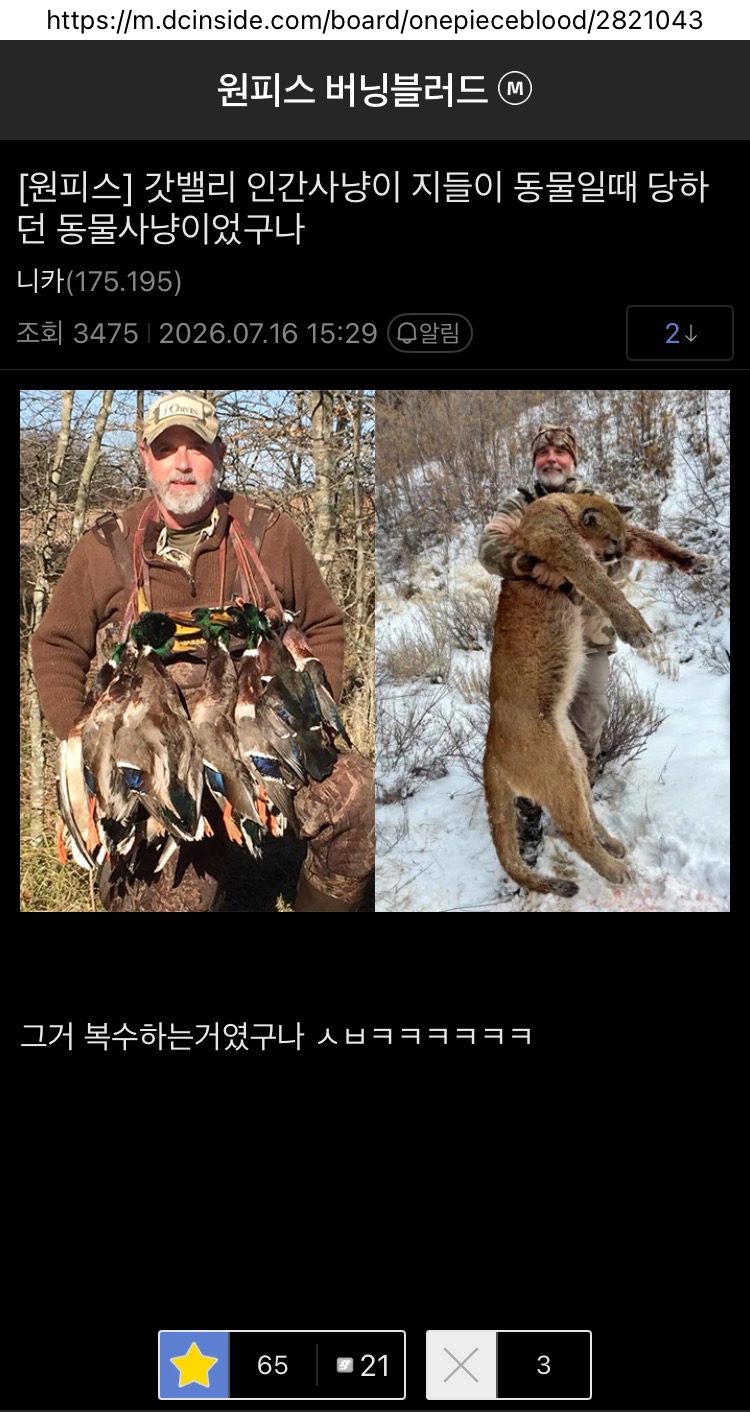 게시물 이미지