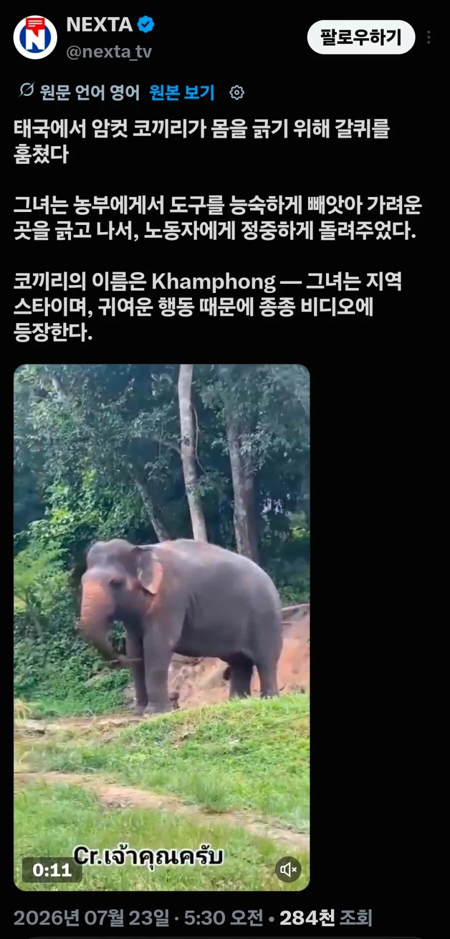 게시물 이미지