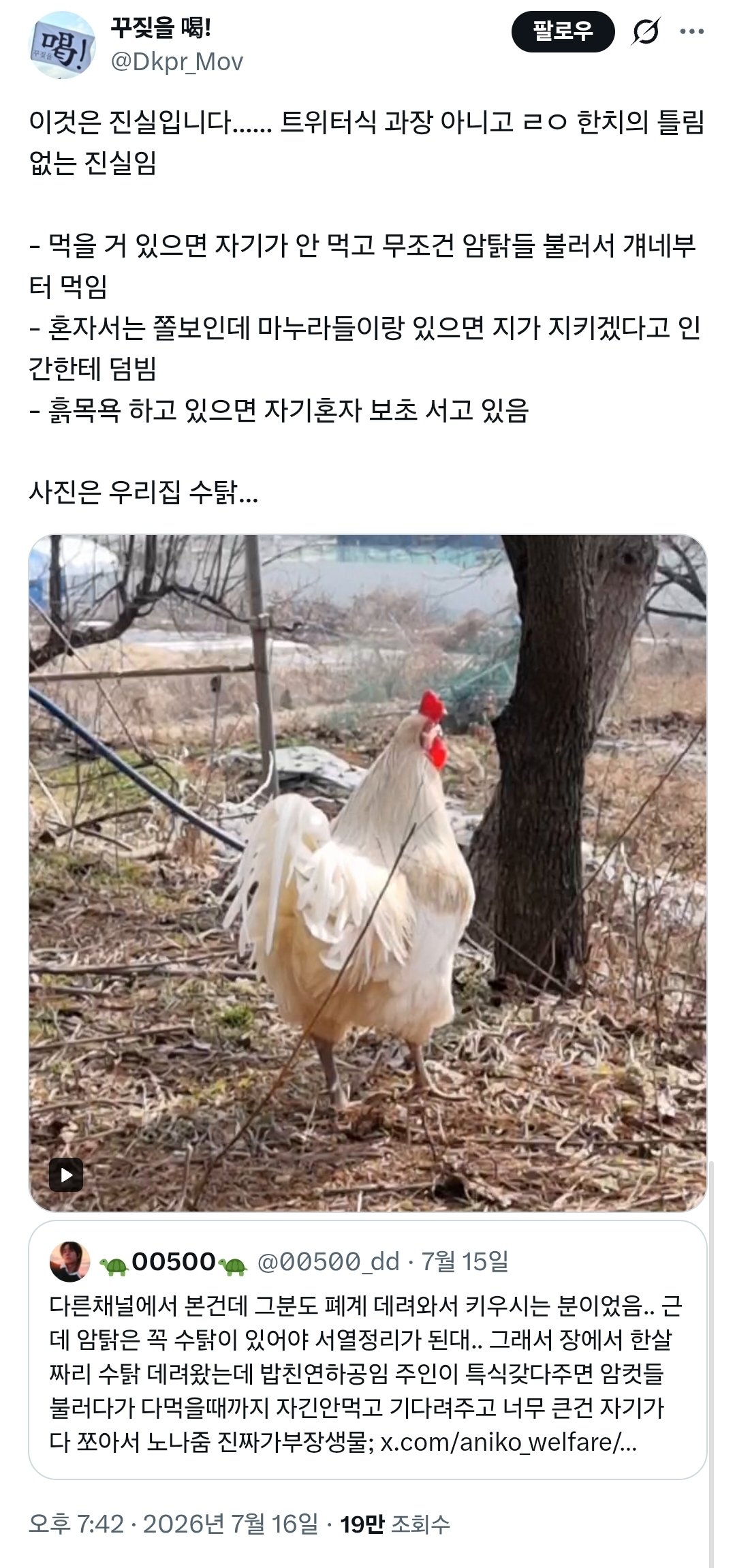 게시물 이미지