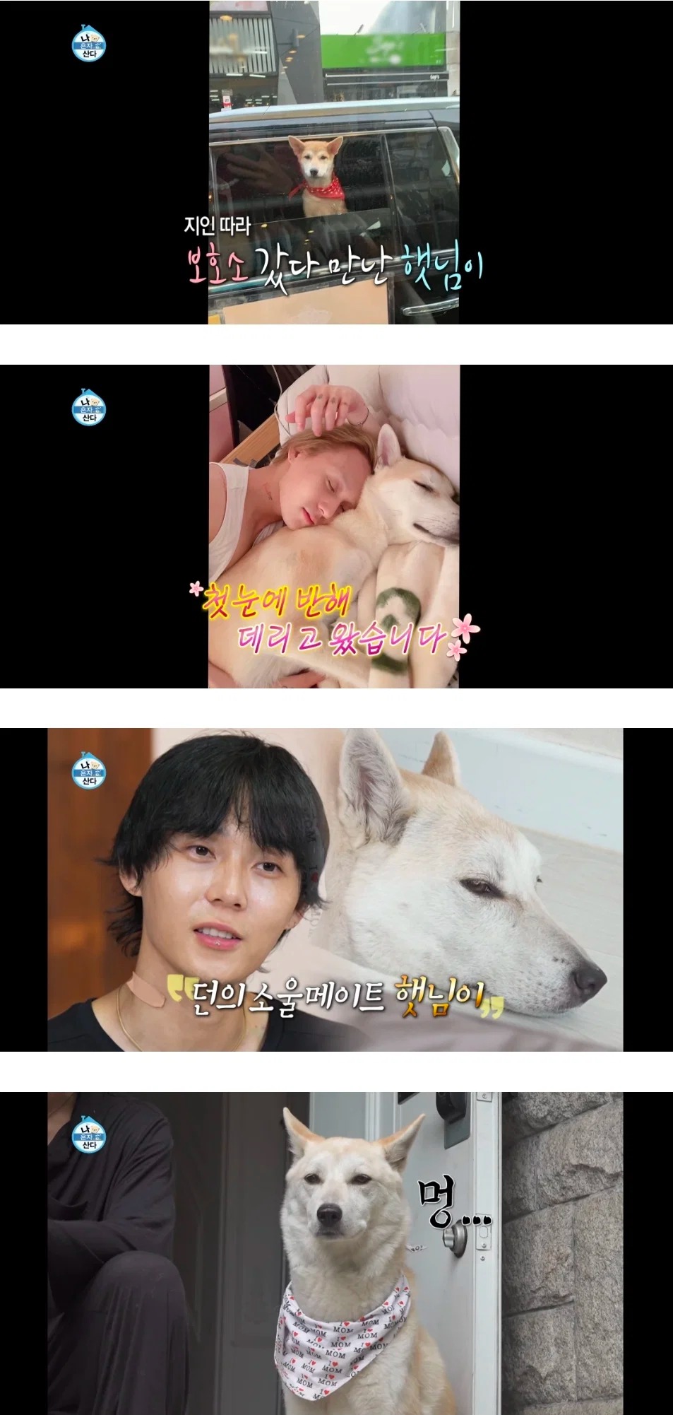 게시물 이미지