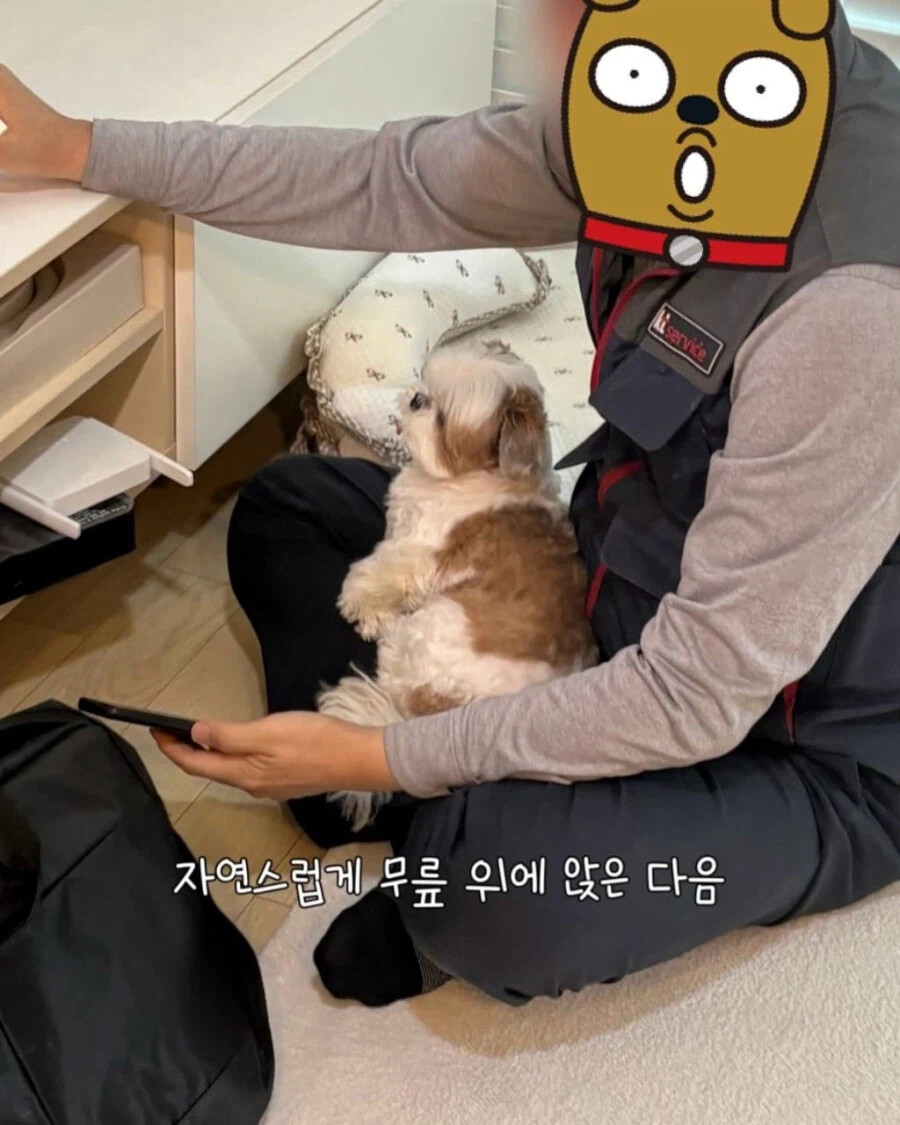 게시물 이미지