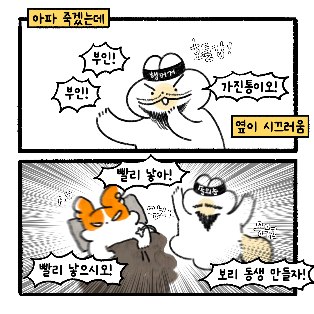 게시물 이미지