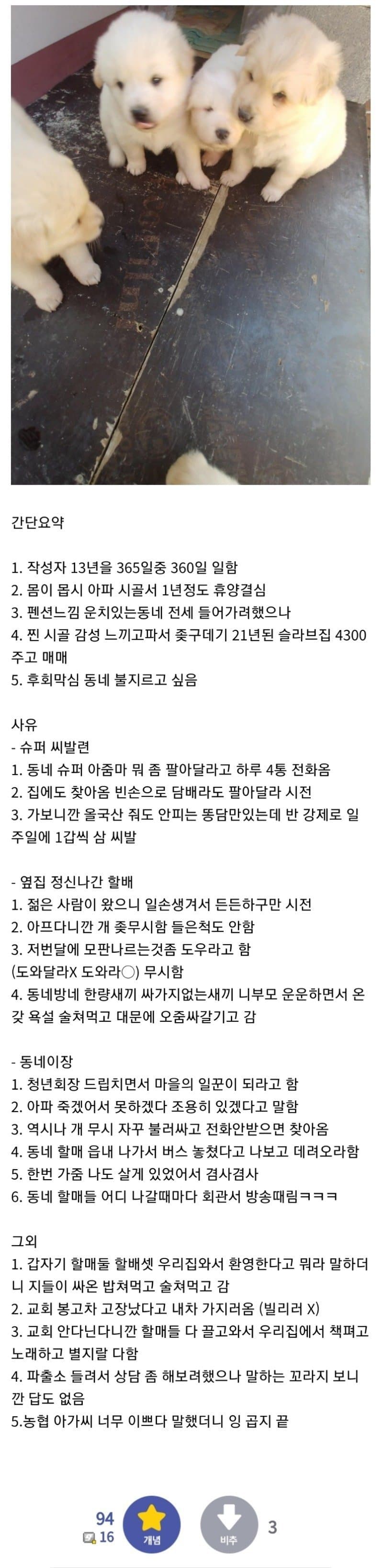 게시물 이미지