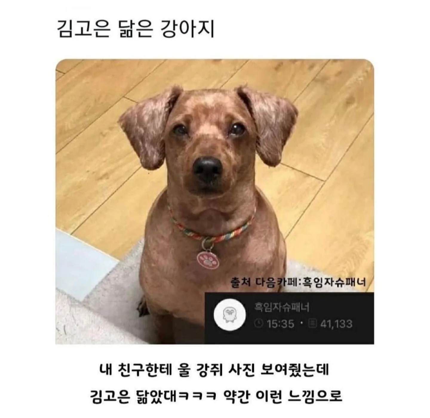 게시물 이미지