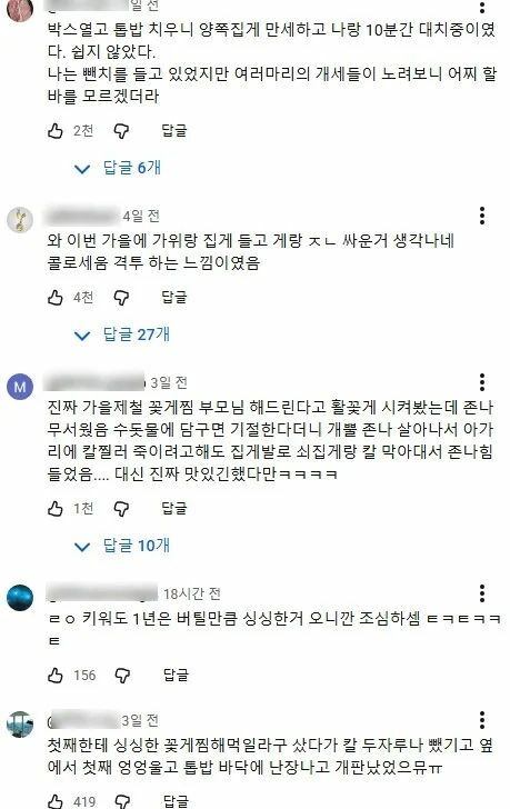게시물 이미지