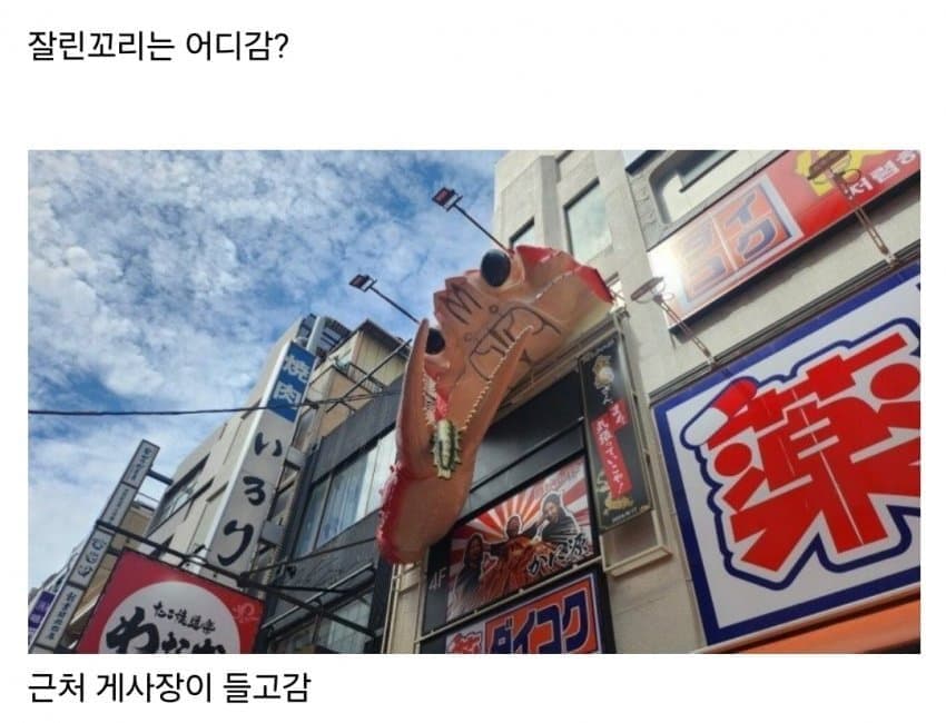 게시물 이미지