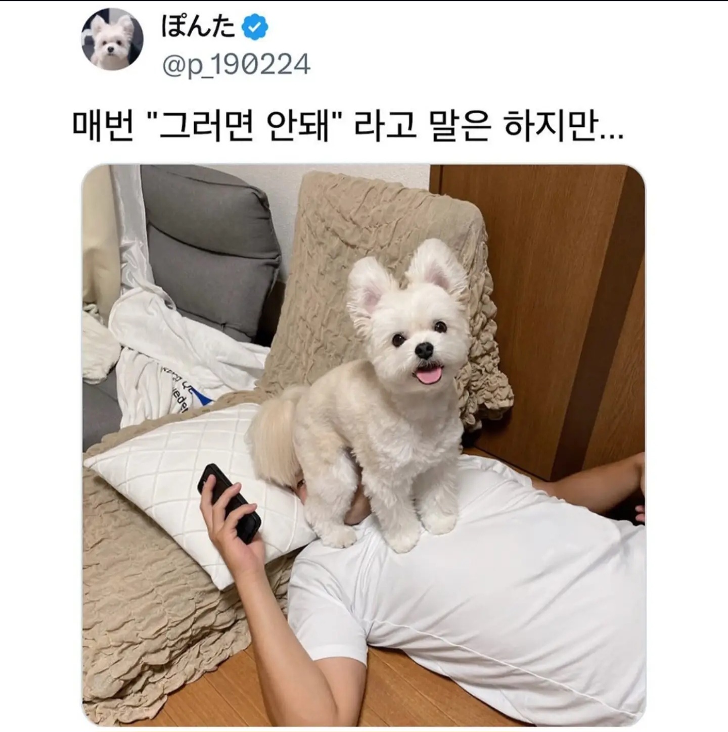 게시물 이미지