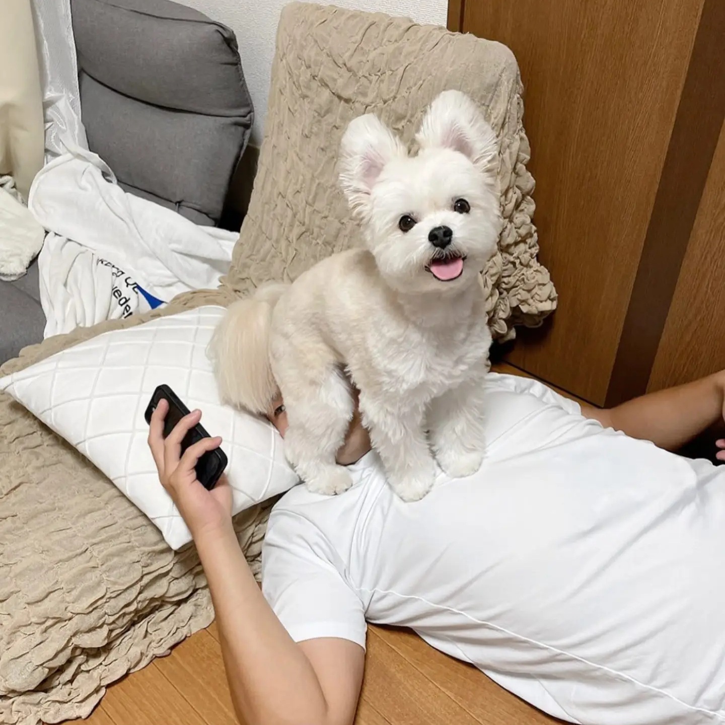 게시물 이미지
