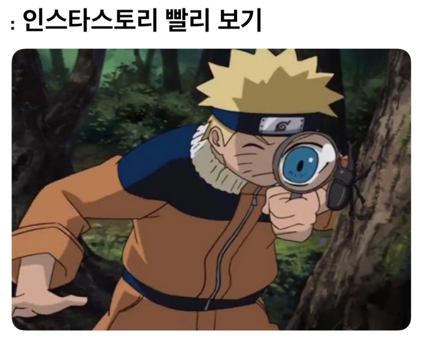 게시물 이미지