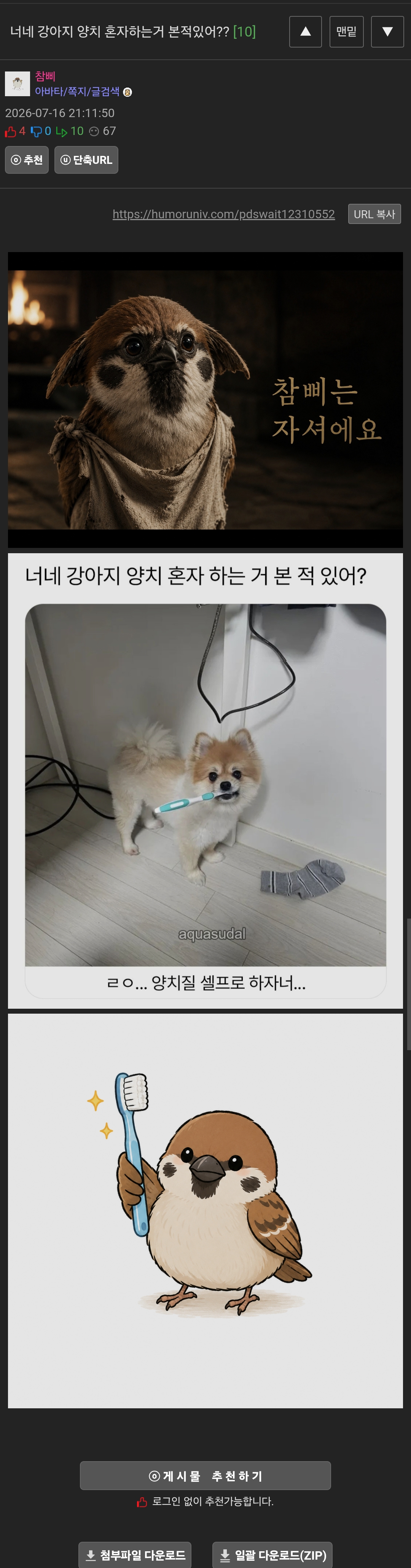 게시물 이미지