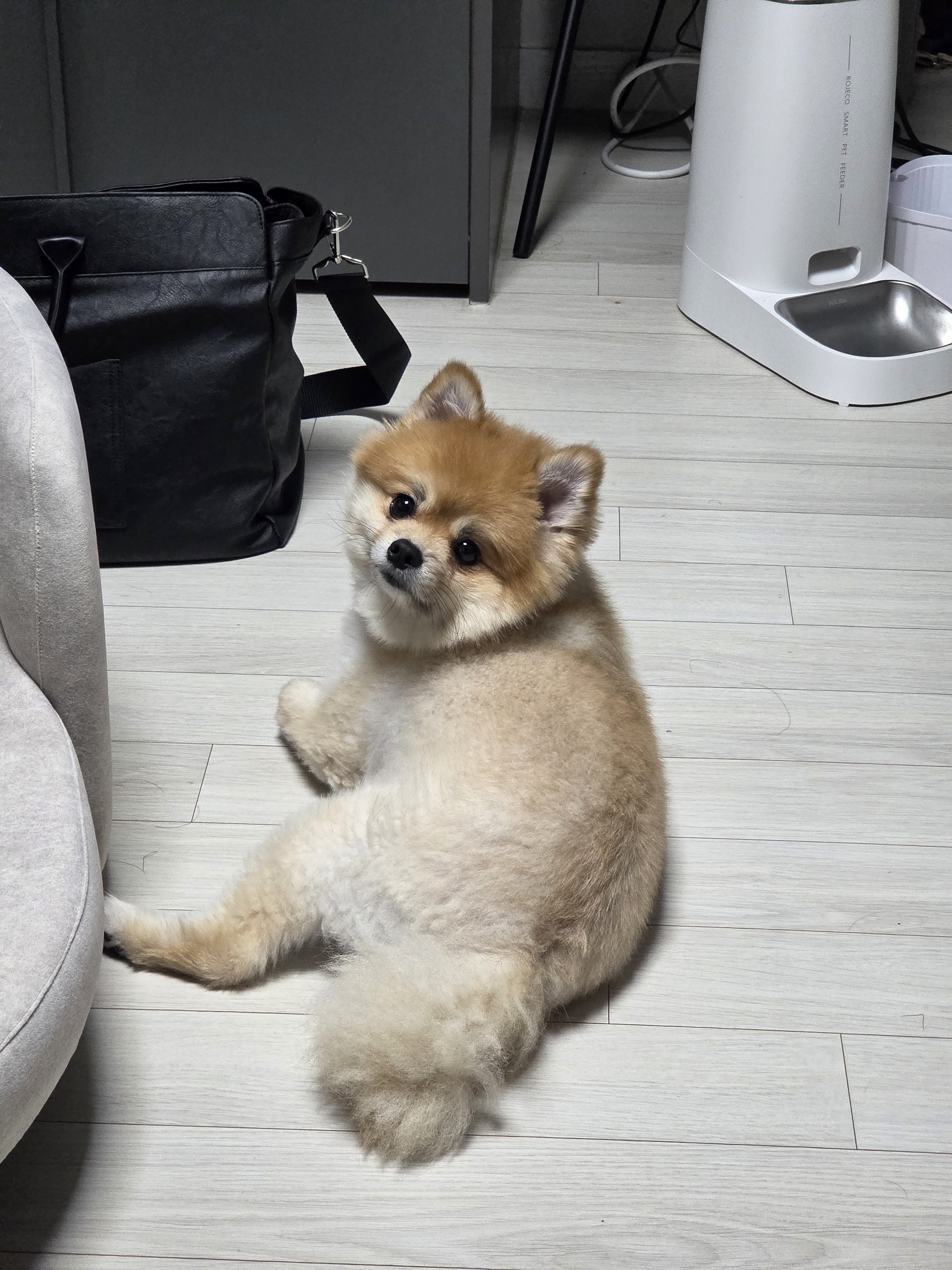 게시물 이미지