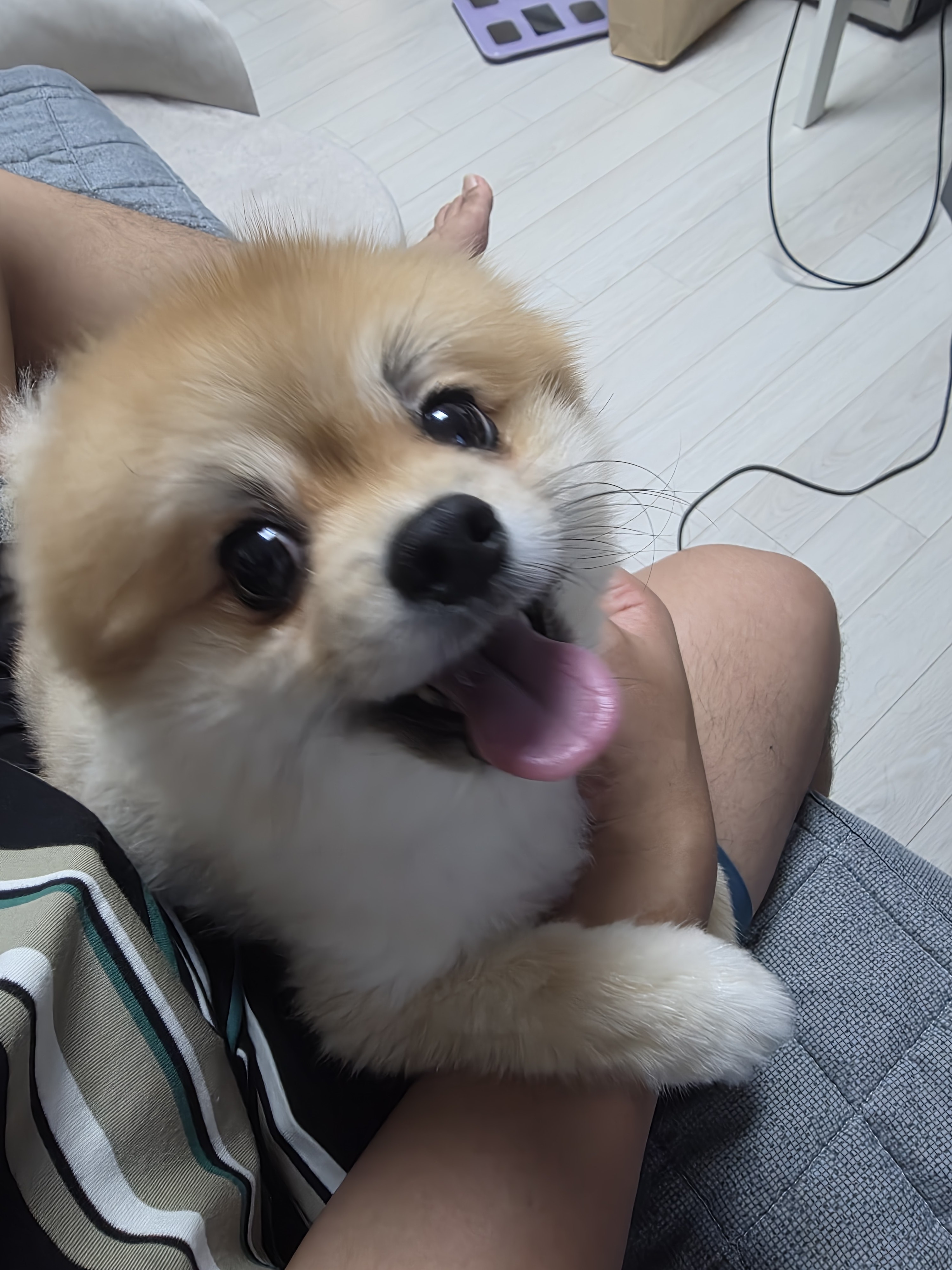 게시물 이미지