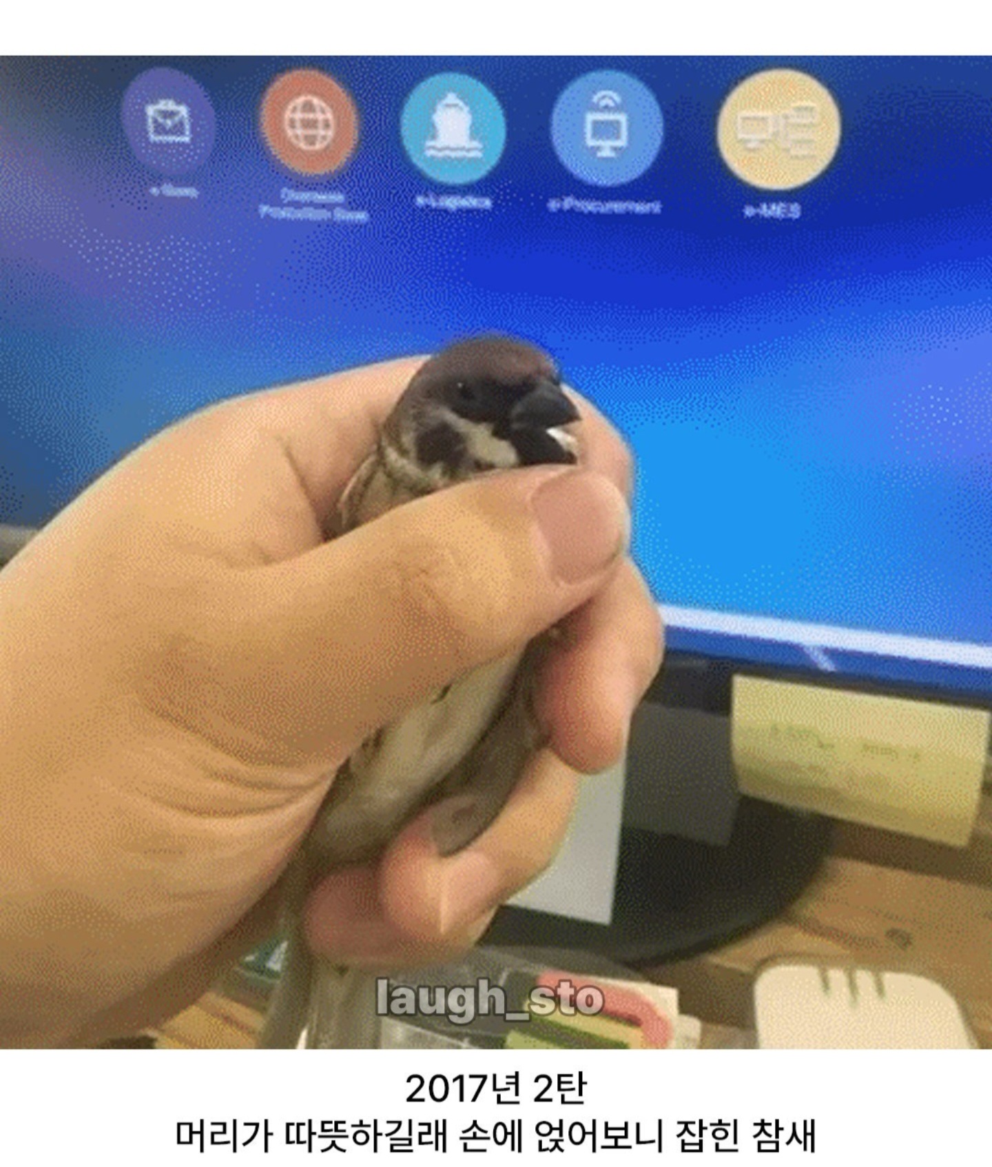 게시물 이미지