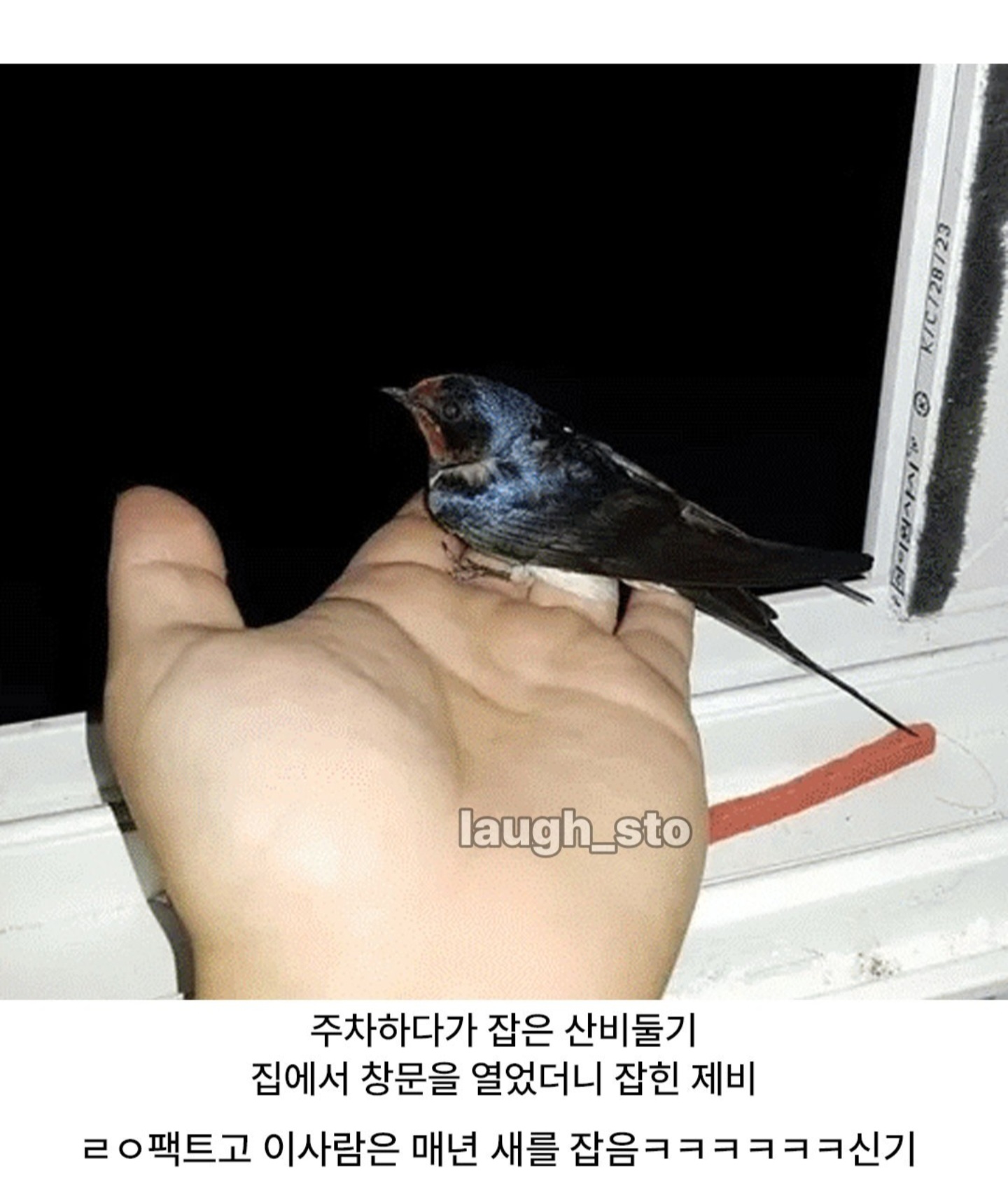 게시물 이미지