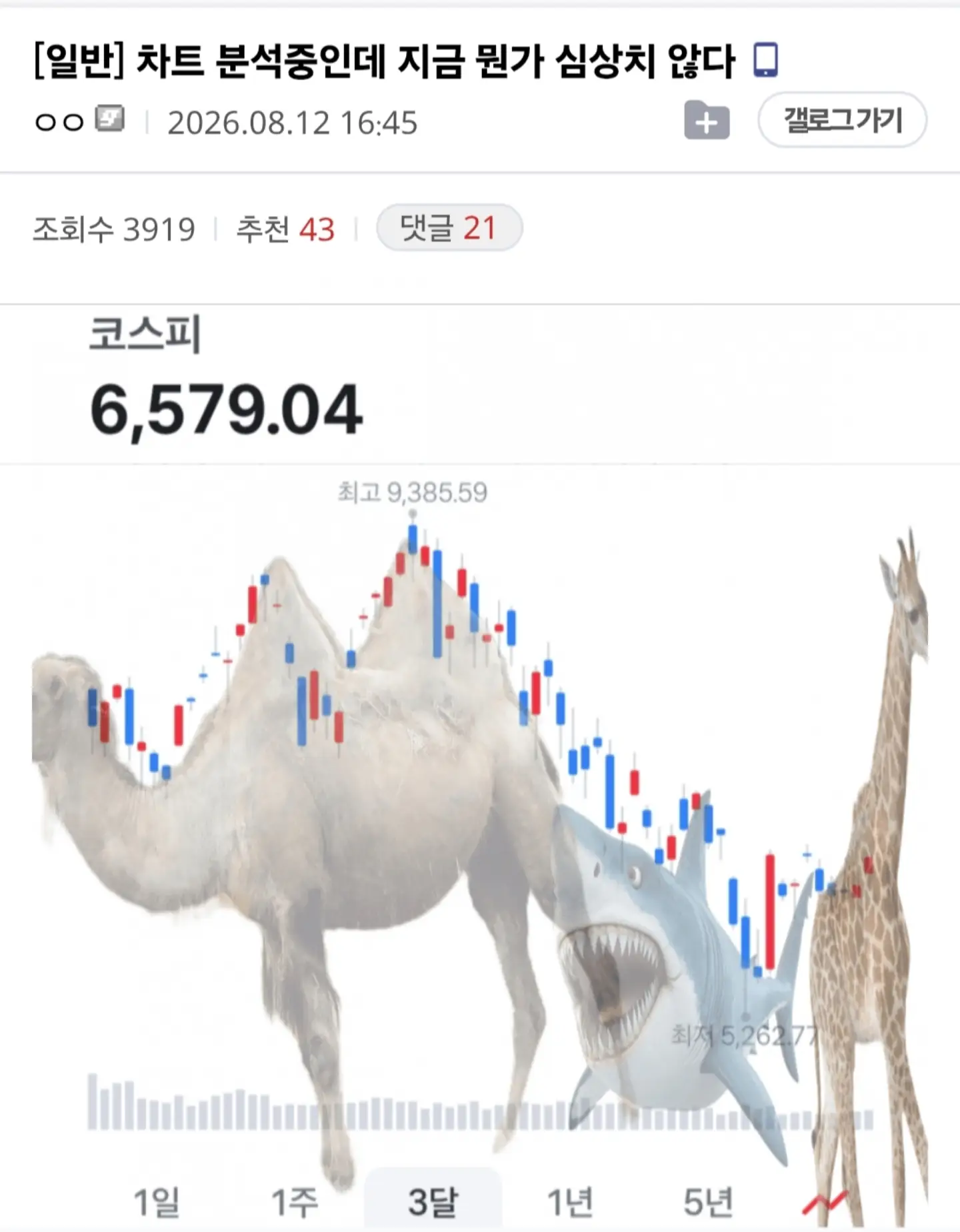 게시물 이미지